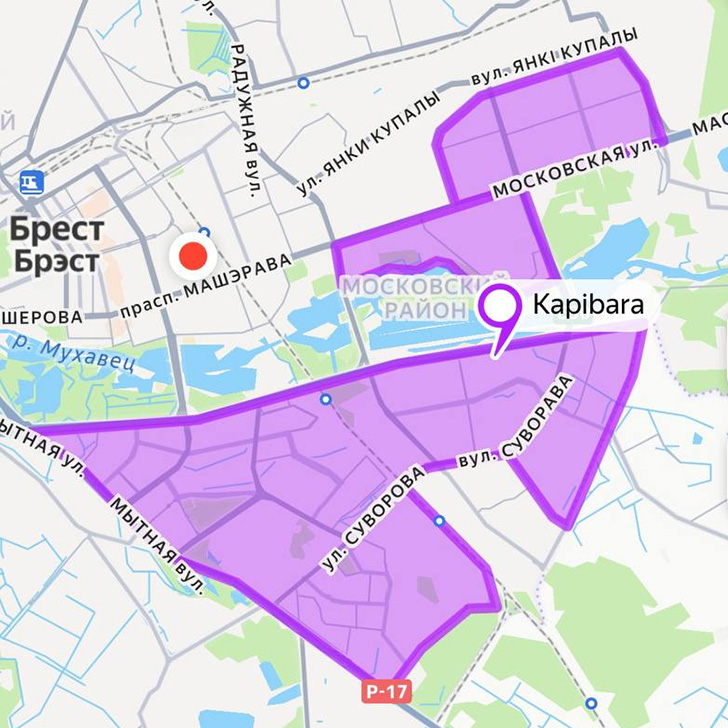 Суши-сеты от 28р от "Капибара" в Бресте